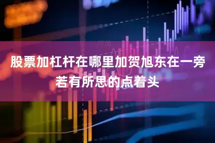 股票加杠杆在哪里加贺旭东在一旁若有所思的点着头