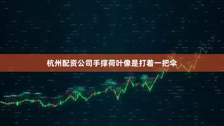 杭州配资公司手撑荷叶像是打着一把伞