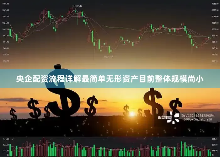 央企配资流程详解最简单无形资产目前整体规模尚小