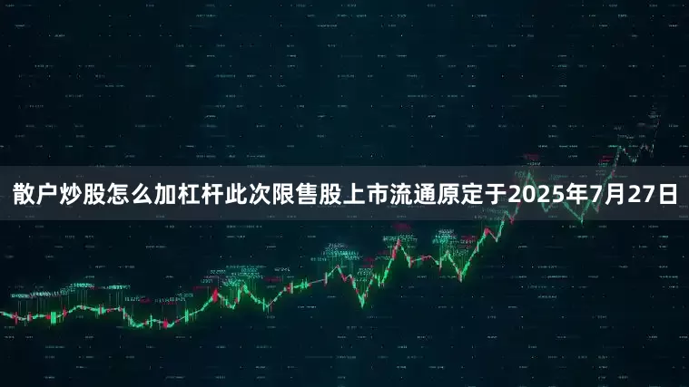 散户炒股怎么加杠杆此次限售股上市流通原定于2025年7月27日